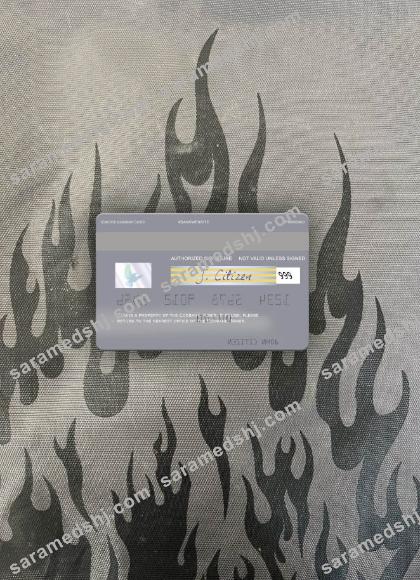 Niger Ecobank visa debit card photolook back